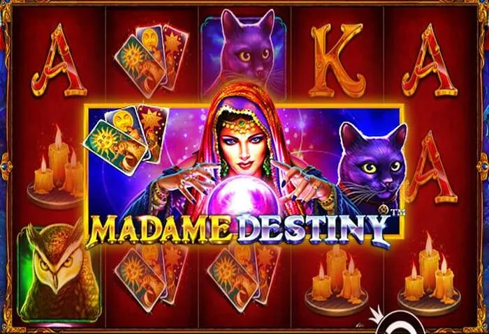 Get the Lucky Pari app to play casino slots and live dealer games on your phone.